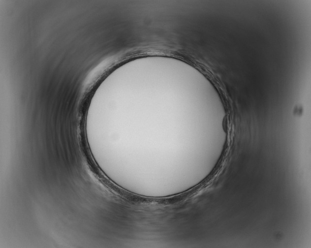 X0000115650197200911241742