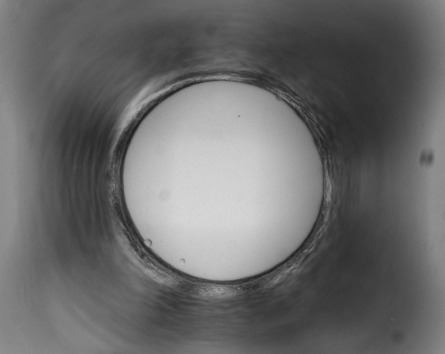 X0000115650198200911241742