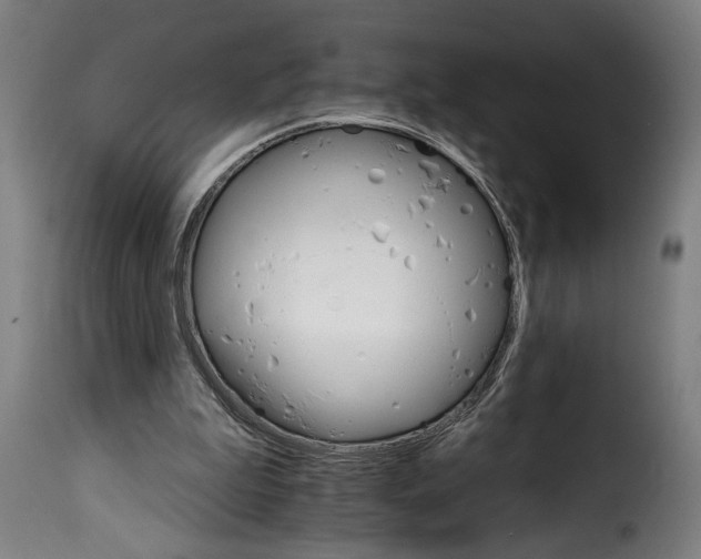 X0000115650199200911241742