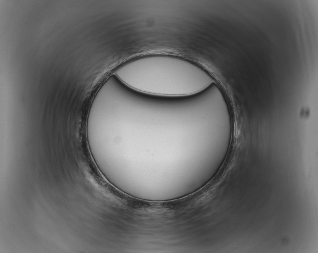 X0000115650201200911241742