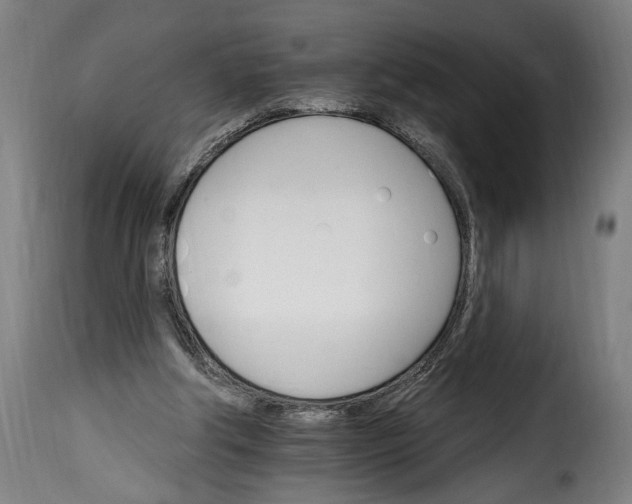 X0000115650202200911241742