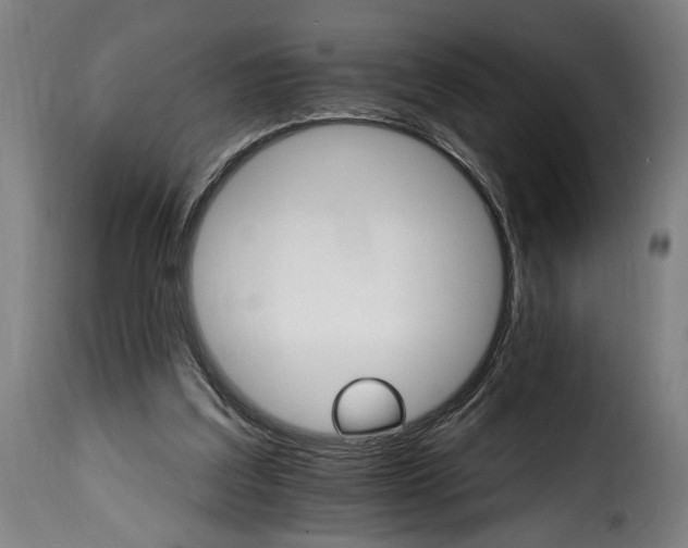 X0000115650203200911241742