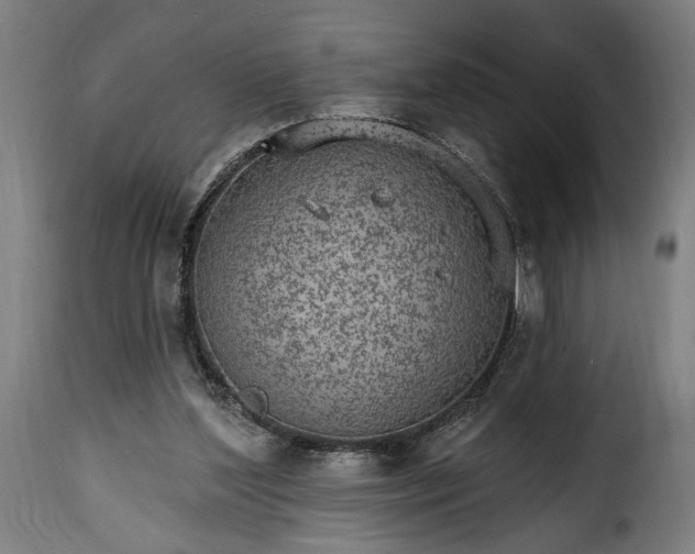 X0000115650204200911241742