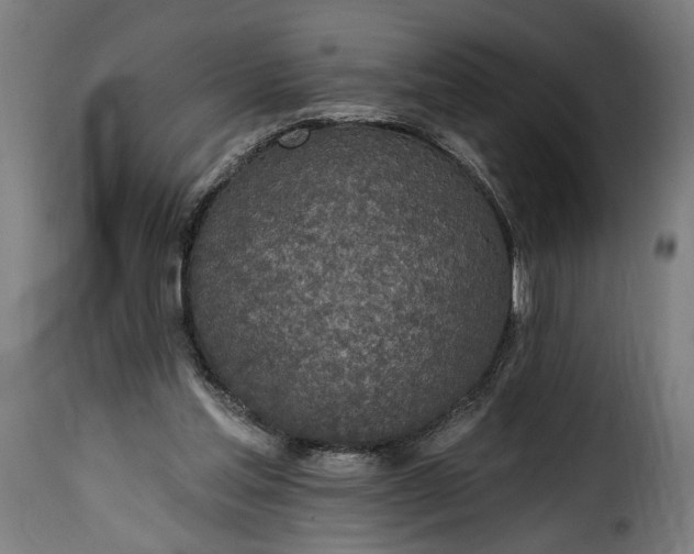 X0000115650205200911241742