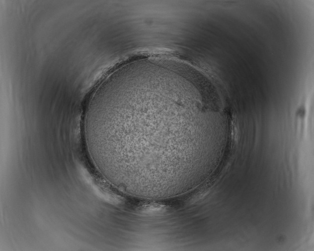 X0000115650206200911241742