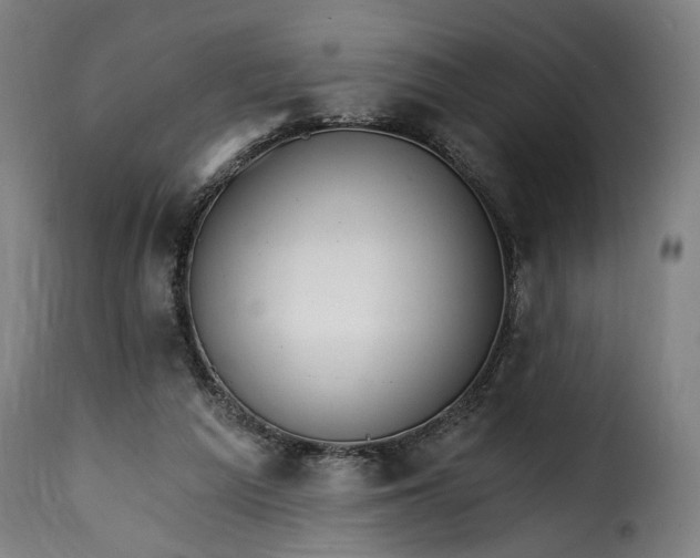 X0000115650209200911241742