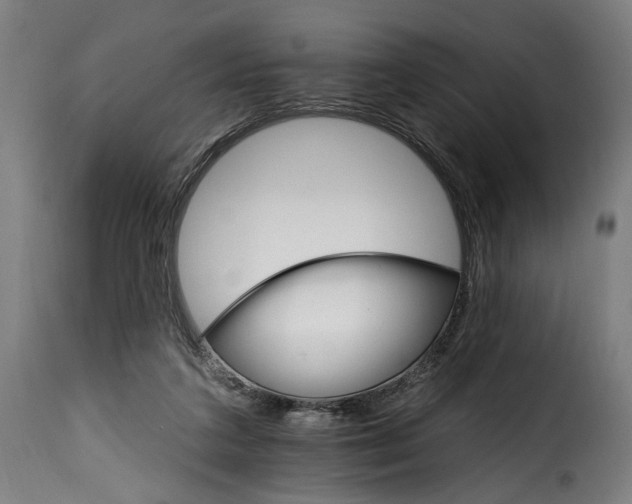 X0000115650211200911241742