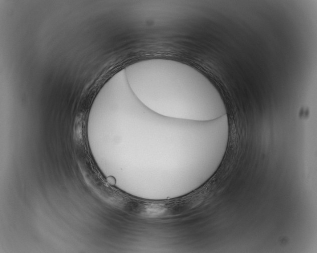 X0000115650214200911241742