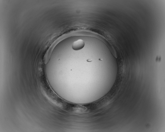 X0000115650215200911241742