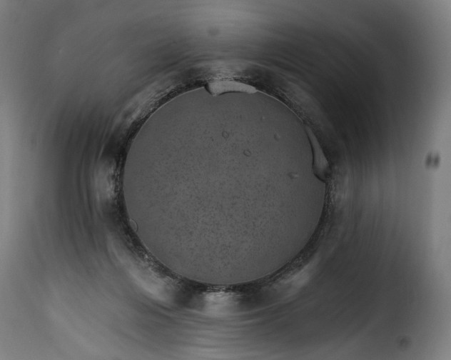 X0000115650216200911241742