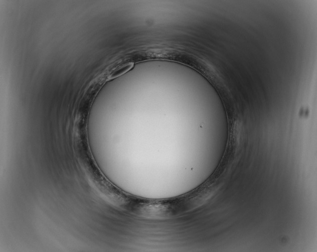 X0000115650217200911241742