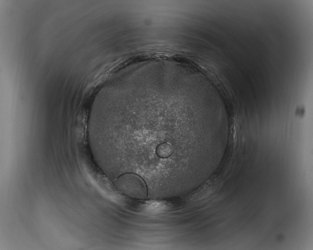 X0000115650218200911241742