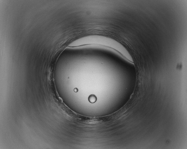 X0000115650219200911241742