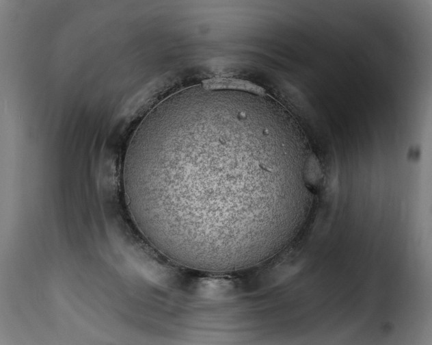 X0000115650220200911241742