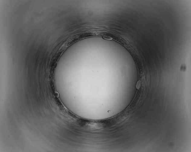 X0000115650221200911241741