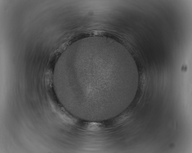 X0000115650222200911241741