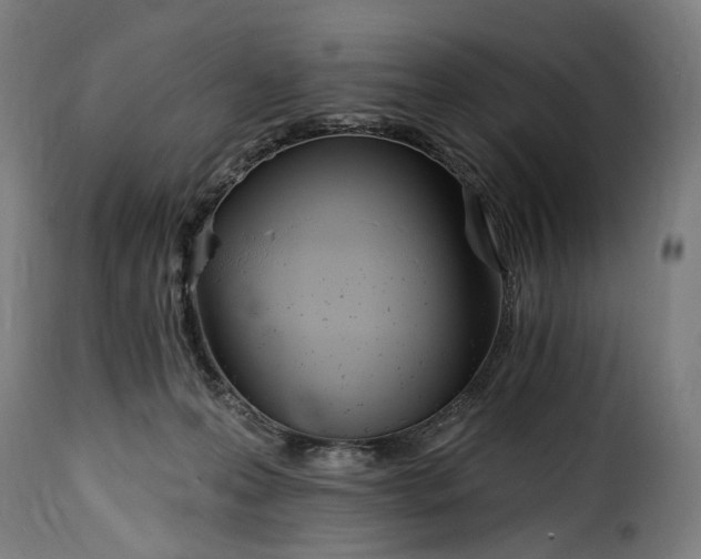 X0000115650223200911241741