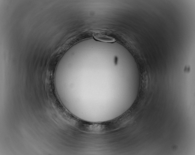 X0000115650225200911241741