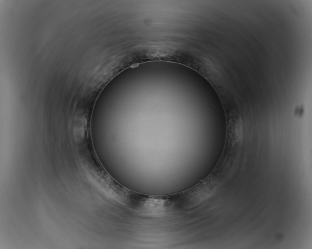 X0000115650227200911241741