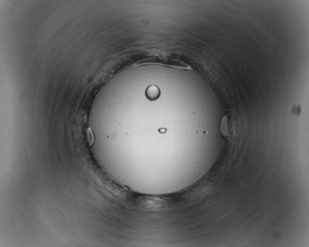 X0000115650229200911241741