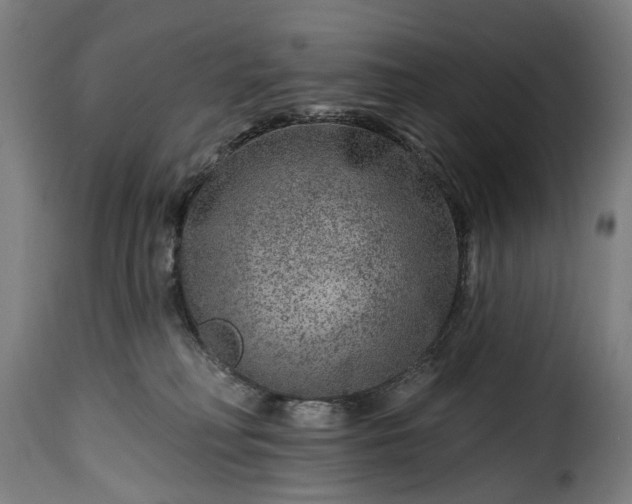 X0000115650230200911241741