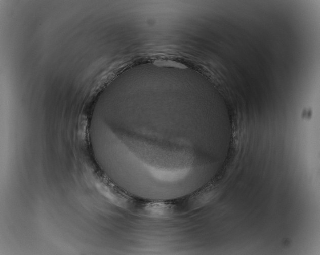 X0000115650231200911241741