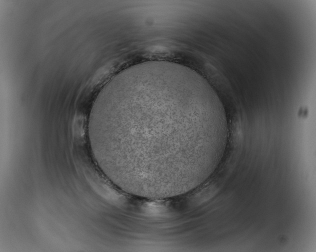 X0000115650232200911241741