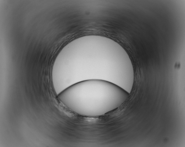 X0000115650233200911241741