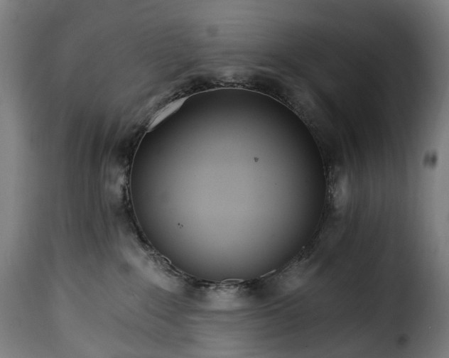 X0000115650235200911241741