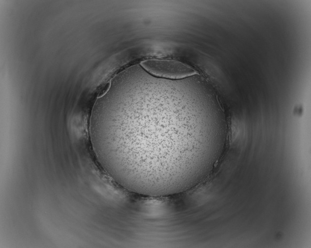 X0000115650236200911241741