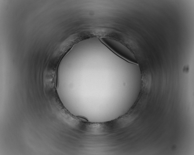 X0000115650237200911241741