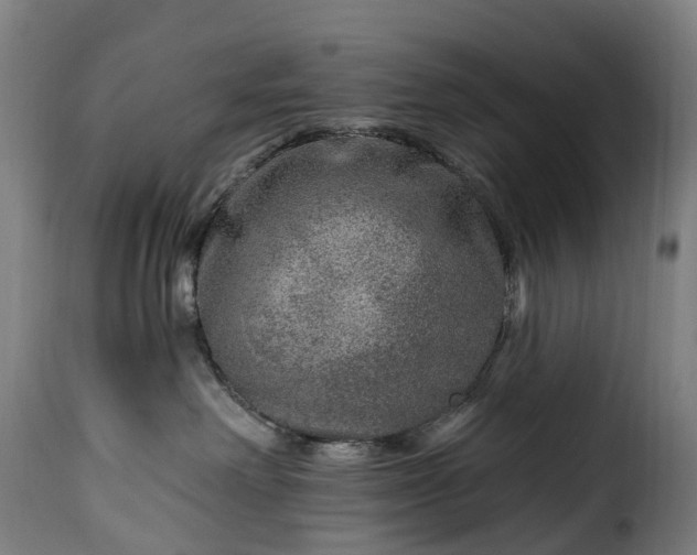 X0000115650238200911241741