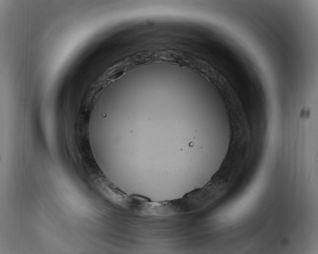 X0000115650239200911241741