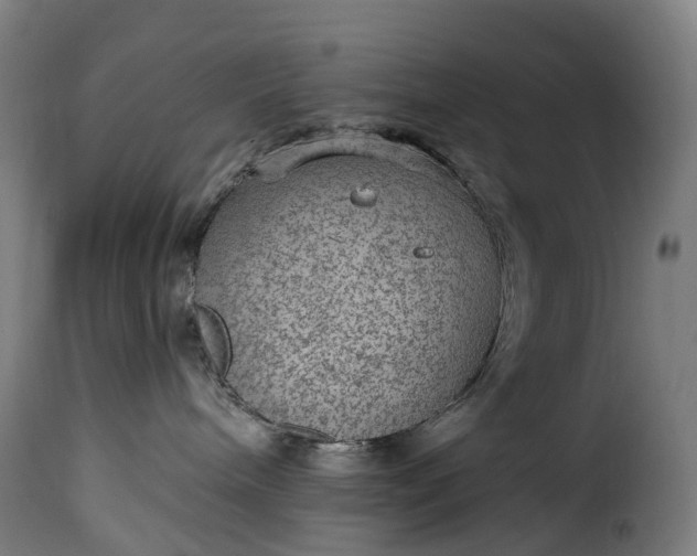 X0000115650240200911241741