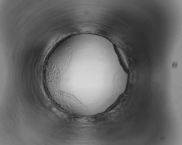 X0000115650241200911241740