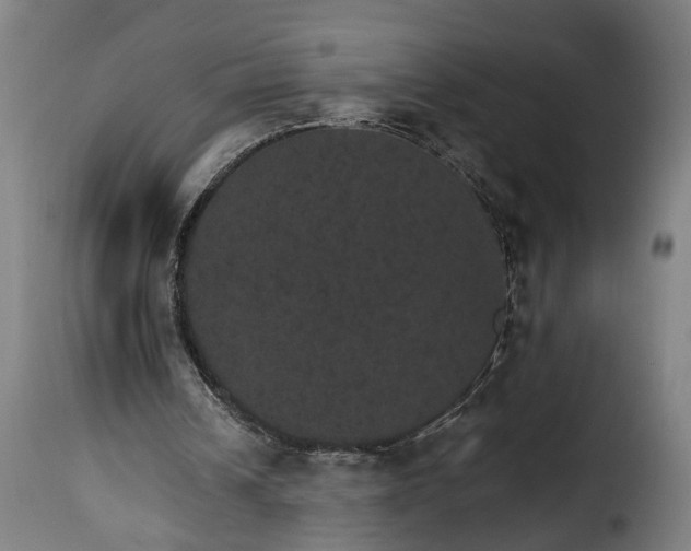 X0000115650242200911241740