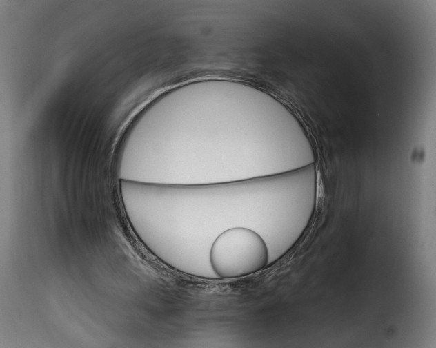 X0000115650243200911241740