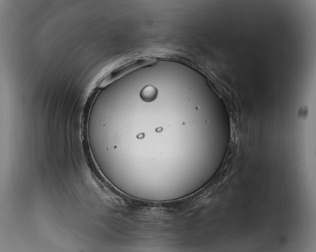 X0000115650244200911241740