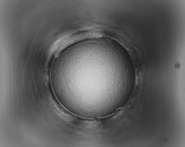 X0000115650245200911241740