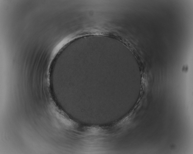 X0000115650246200911241740