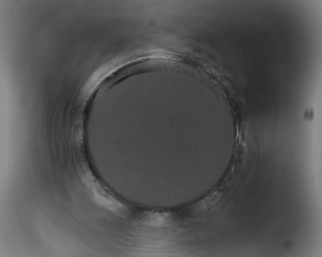 X0000115650247200911241740