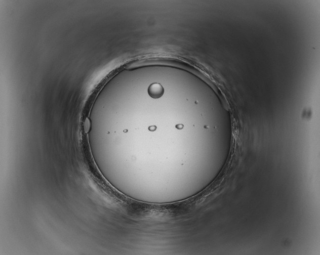 X0000115650248200911241740