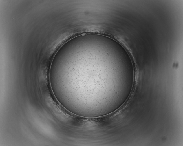 X0000115650249200911241740