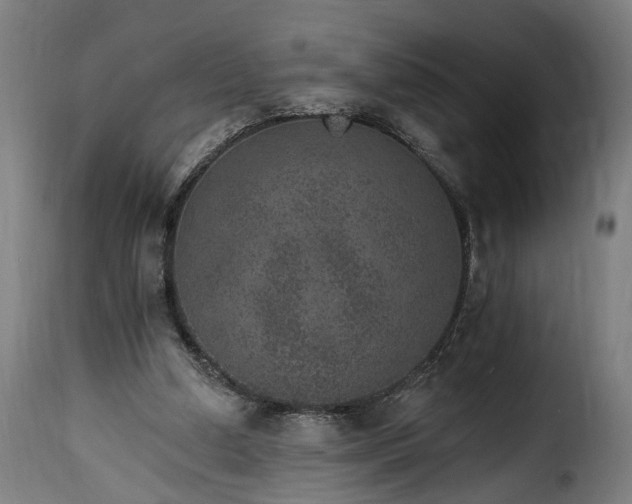 X0000115650250200911241740