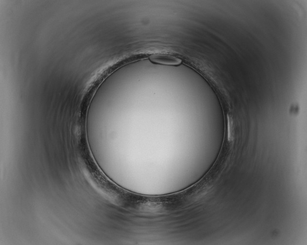 X0000115650252200911241740