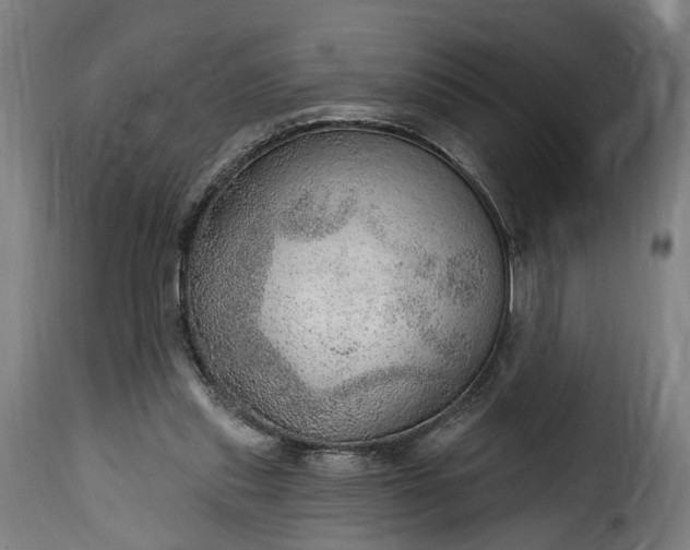 X0000115650253200911241740