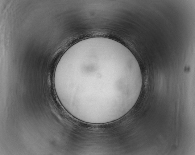 X0000115650254200911241740