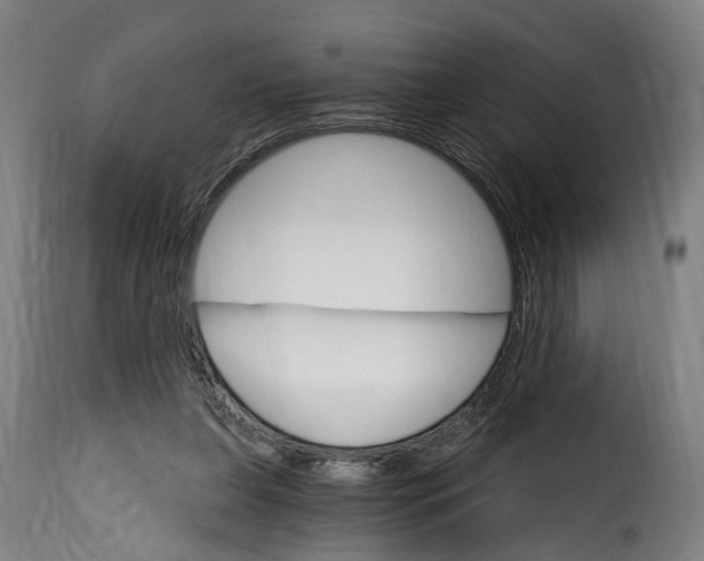 X0000115650255200911241741