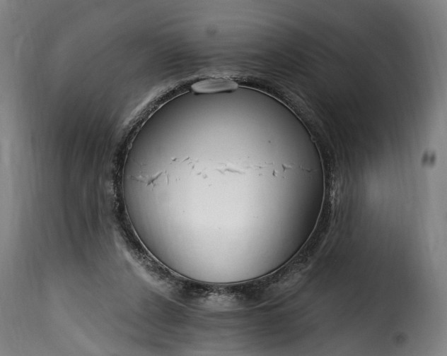 X0000115650256200911241741