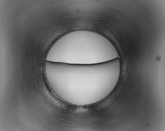 X0000115650257200911241741